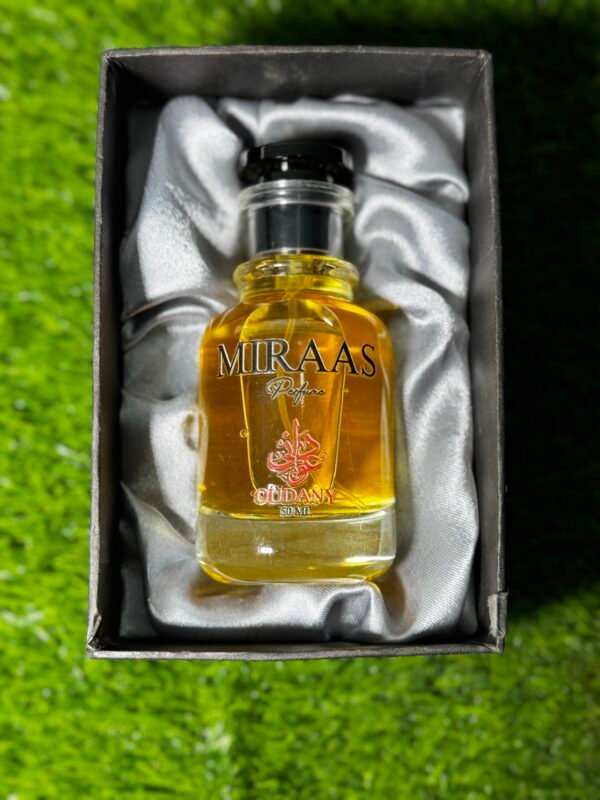 MIRAAS - Image 2