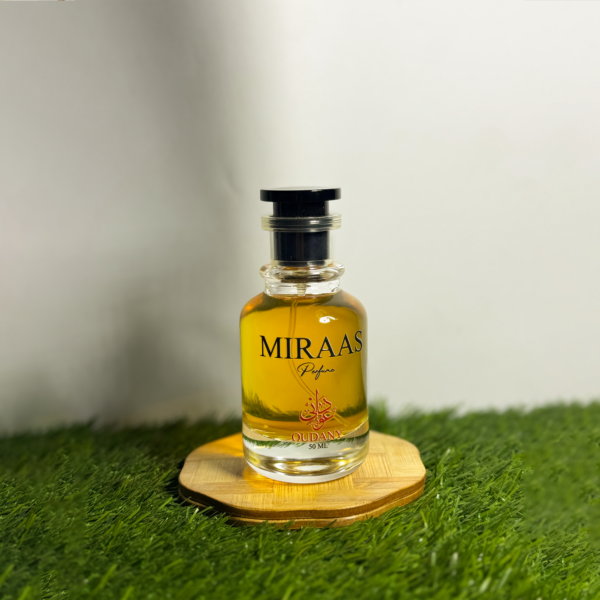 MIRAAS - Image 3